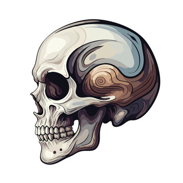 Stylized skull vector side profile with intricate swirling patterns and a clean white background, representing mortality and artistic design