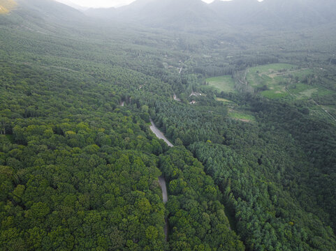 Aerial view of Mount Terminio covered in dense green forests with a winding road passing through the lush valley Sala, Campania, Italy.