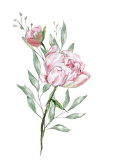 Obraz premium Elegant watercolor floral bouquets composed of peonies and eucalyptus leaves. Perfect for wedding design, invitations, branding, and romantic botanical compositions with soft, feminine aesthetics