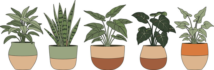 Hand Drawn Potted Houseplants Collection Featuring Snake Plant and Philodendron in Modern Ceramic Pots Isolated Illustration on White Background Vector © Liza