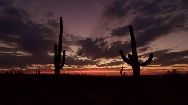 Super Vibrant Arizona Desert Sunset Time-Lapse Footage With Cactus Silhouette 