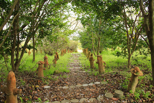 愛媛県松山市　五郎兵衛谷古墳群