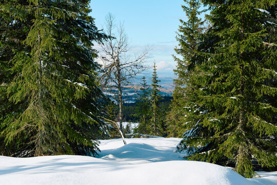View of rural Toten from the Toten&aring;sen Hills, Norway, March 2026.