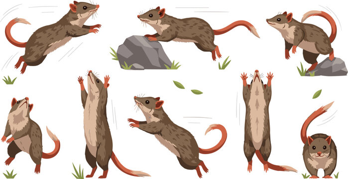 Rat Vector Set with Cartoon Illustrations Showing Rats in Jumping, Running, Climbing, and Sitting Poses for Wildlife, Education, Kids, and Digital Design Projects