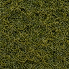 Fototapeta premium Algae Surface Texture Seamless Pattern. Close-up marine algae detail. Natural aquatic growth pattern design. Realistic algae texture background. Detailed underwater macro close-up. Organic ocean patte