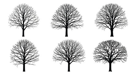 Fototapeta premium Six silhouetted trees with bare branches against a white background