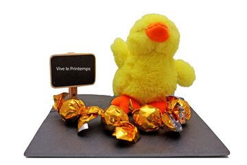 Poussin jaune en peluche au milieu de chocolat © helenedevun