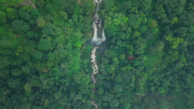 Aerial view of the cascading Curugsewu Waterfall cutting through the dense, lush green forest, contrasting with the white water, Curugsewu, Central Java, Indonesia.