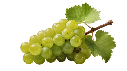 Lush green grape bunch leaves stem, isolated on transparent background © Roxana