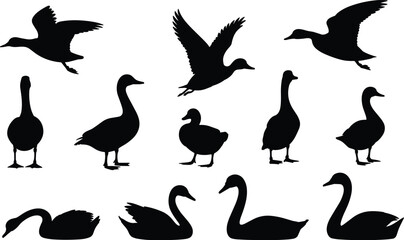 Comprehensive collection of black bird vector silhouettes featuring ducks, geese, and swans flying, swimming, and standing isolated on a white background for professional nature graphic design. © Asib