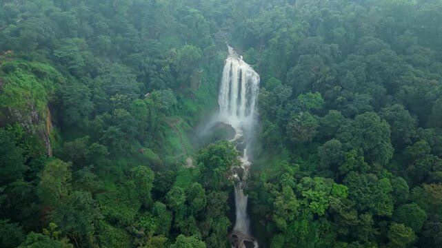 Aerial view of the majestic Curugsewu Waterfall cascading down amidst the lush, vibrant green forest canopy, Curugsewu, Central Java, Indonesia.