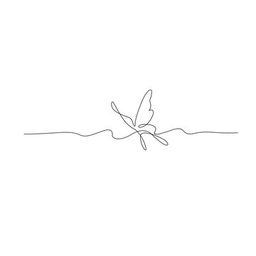a Butterfly is flying. Vector isolated illustration, Black and white. Continuous one line butterfly flying single line outline art drawing illustration
Ка