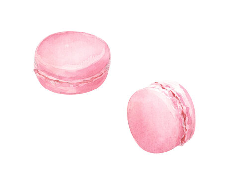 Watercolor pink macaroon pastry. Hand drawn illustration for bakery, cafe, stickers