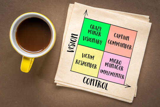 vision and control concept, self-management matrix, diagram sketch