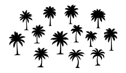 Obraz premium Isolated Palm Tree Silhouettes Tropical Nature Circular Vector Set