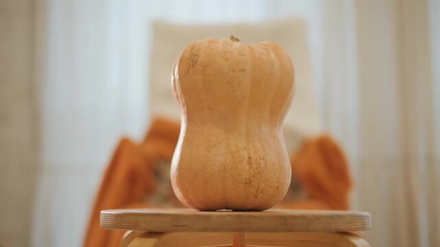 Butternut squash on wooden table, soft backlight and warm orange throw intimate home baker scene prepping for pumpkin pie, rustic texture and morning sunlight highlighting skin and stem, close macro