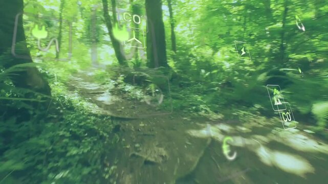 Trail entrance appearing, forward camera advancing as green eco icons hovering, visualizing CO2