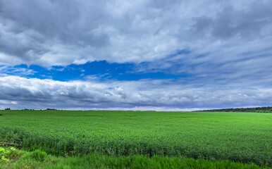 Obraz premium Vast green field stretches under dramatic, cloud-filled sky