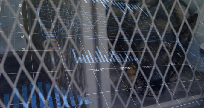 Woman and man standing behind grille, camera panning causing security charts sliding over people