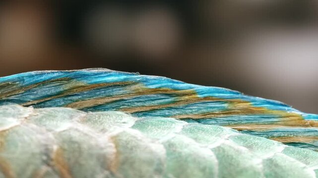 Parrotfish is a type of fish that is very important for the marine ecosystem.
