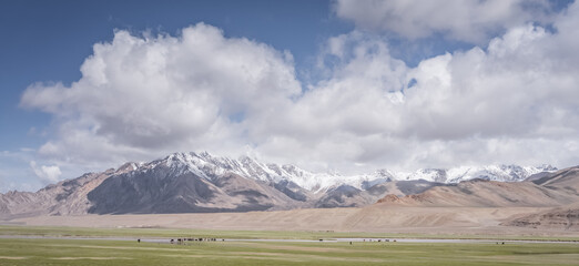 Panorama of a landscape in the Tien Shan mountains in the Pamirs, high-altitude pastures and fields with green grass against a backdrop of rocky mountains, ridges, and snow-capped peaks © Denis
