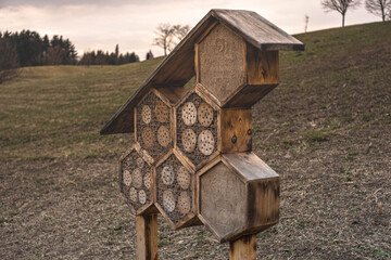 Hotel dla owadów © FotoJoker