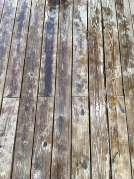 Weathered Wooden Plank Texture with Wet Spots and Pine Needles