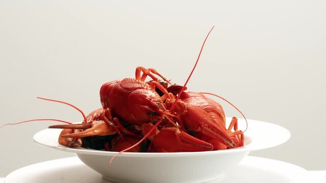 Boiled European crayfish Astacus astacus river seafood freshwater cooked crustacean, noble crayfish, or broad-fingered crayfish, traditional food source.