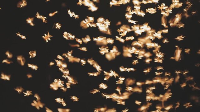 Abstract and magical image of flying moths.