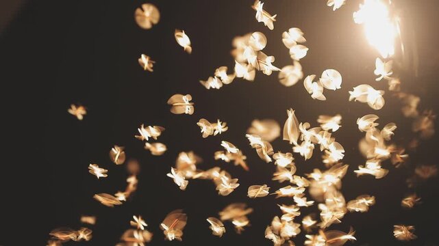 Abstract and magical image of flying moths.