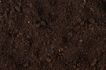 Rich dark brown moist soil with a textured surface, as background. Fertile soil.