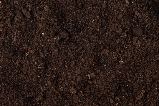 Rich dark brown moist soil with a textured surface, as background. Fertile soil.