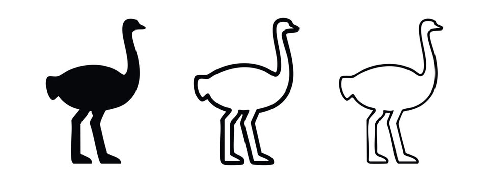 Ostrich icons set. Modern ostrich silhouette and outline symbols. Wild animal graphic elements collection.
