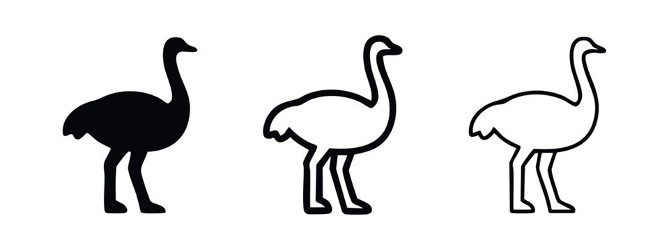 Ostrich icons set. Modern ostrich silhouette and outline symbols. Wild animal graphic elements collection.