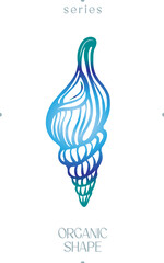 Abstract Blue Conch Shell Organic Shape Vector