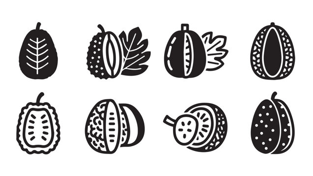 Exotic Fruit Icons Collection: Durian Jackfruit Mangosteen RambutanSimple Vector Illustrations
