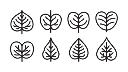 Fototapeta premium Set of assorted leaf outline icons. Different shapes and veins. Stock vector graphic