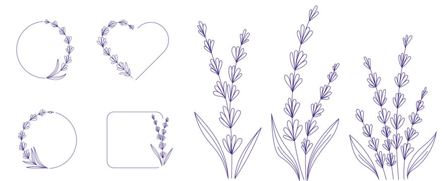 Hand-Drawn Lavender Line Art Set, Botanical Elements, Logo Frames, Floral Wreaths