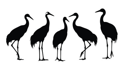 Fototapeta premium Silhouette illustration of five cranes in various poses against a white background
