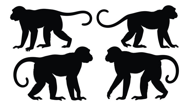 Four monochrome silhouettes of monkeys in various walking and seated poses