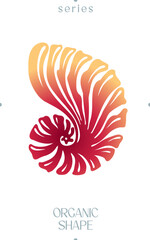 Abstract Nautilus Shell Organic Shape Vector