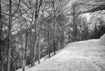Trekking trail covered by the snow, in the alps of Biella Province (Northern Italy, Piedmont Region), during early springtime. © stefanopez
