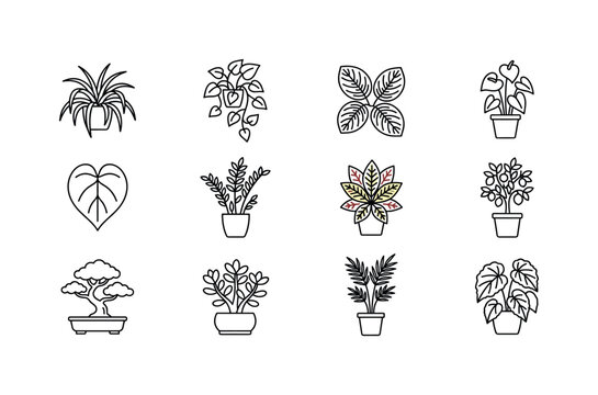 Collection of twelve potted houseplant line art icons for interior design
