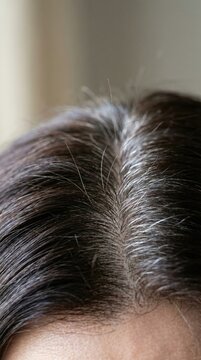 Close up view dark hair with visible gray roots and flyaways. It represents aging and natural beauty process. Ideal for hair care, coloring, and dermatology articles.