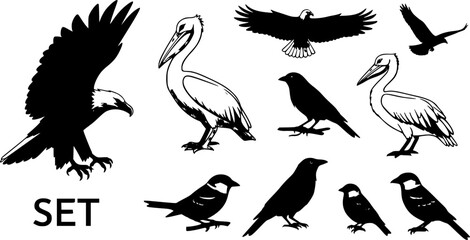 Fototapeta premium Diverse bird silhouettes vector collection: eagle, pelican, crow, sparrows