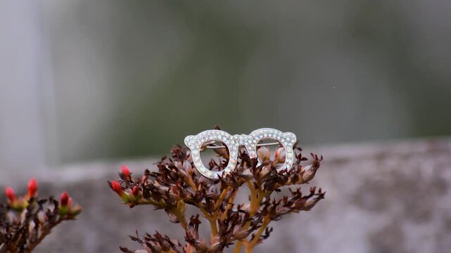 Silver eyeglasses jewelry brooch on a dried flower plant with soft bokeh background