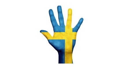 Obraz premium Kingdom of Sweden national flag isolated on white background.