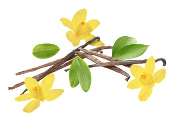 Naklejka premium Vanilla pods, flowers and green leaves flying against white background