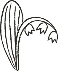 Fototapeta premium Flower Bells Doodle Crayon