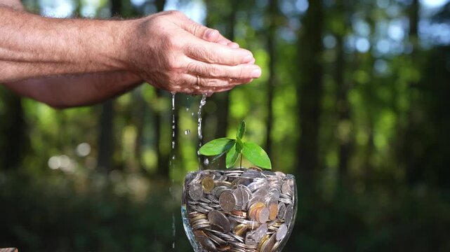 Income growth supported by investment. Banking and finance growth idea. Coins and plant symbol of profit. Financial success and money growth. Economy development with green finance.